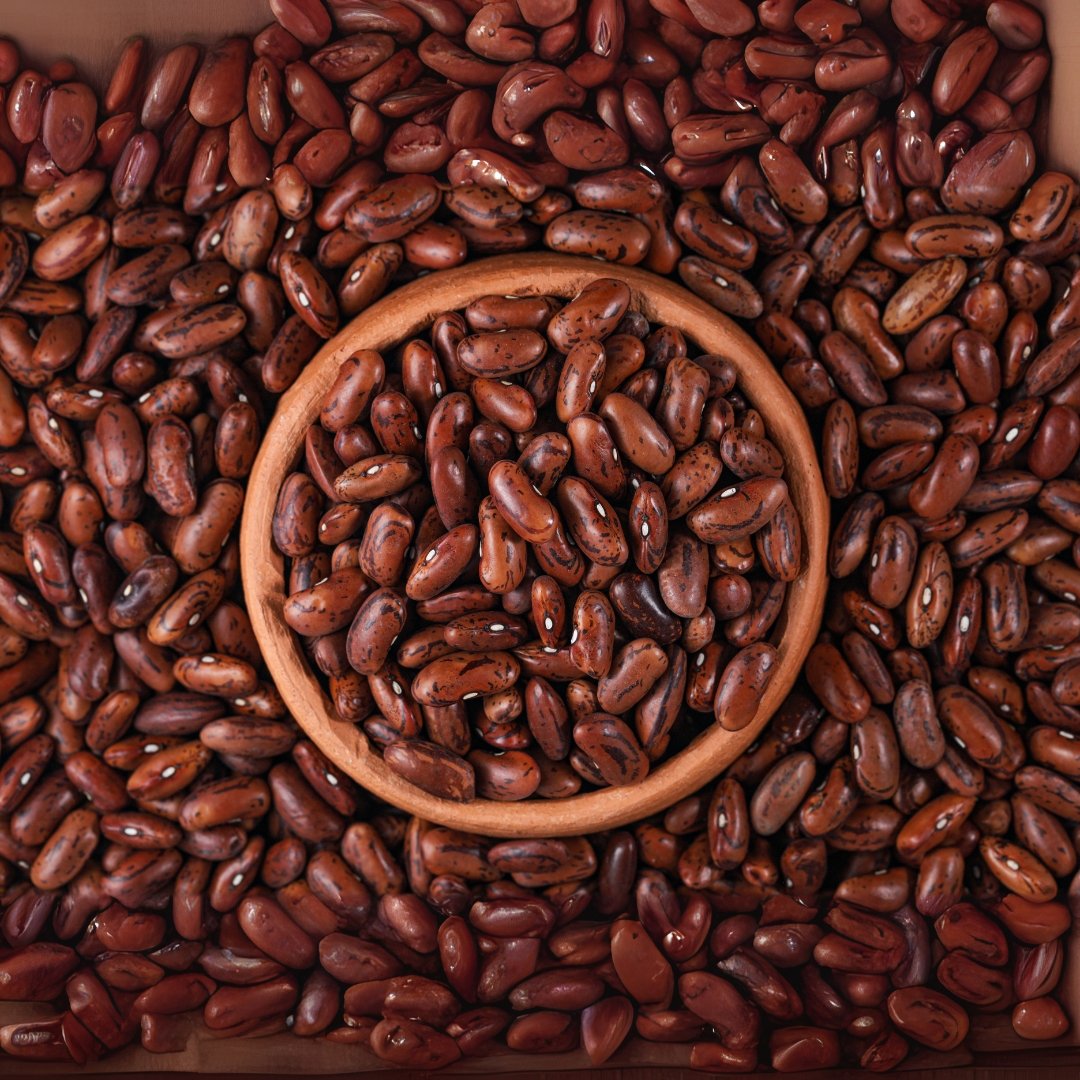 WhatsApp Image 2025-07-16 at 12.24.37 PM